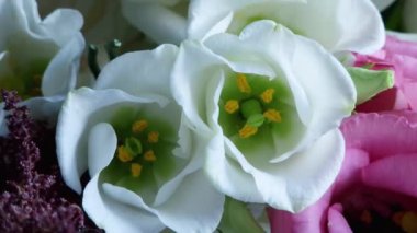 Beyaz Eustoma çiçekleri ve güller yakın planda.