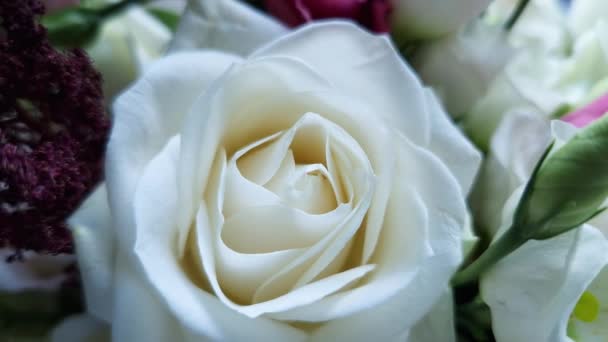 Biała Róża Bukiet Zbliżenie Selektywnym Ostrości — Wideo stockowe