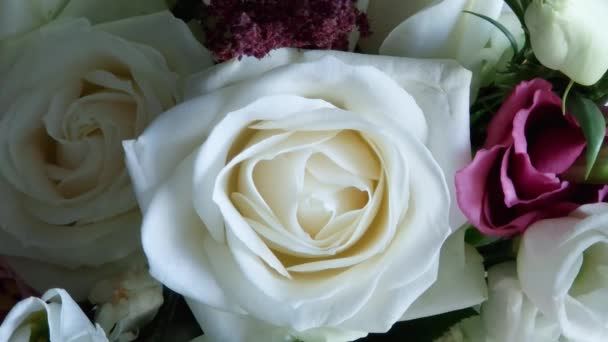 Bílá Růže Kytici Zblízka Selektivním Ostření — Stock video