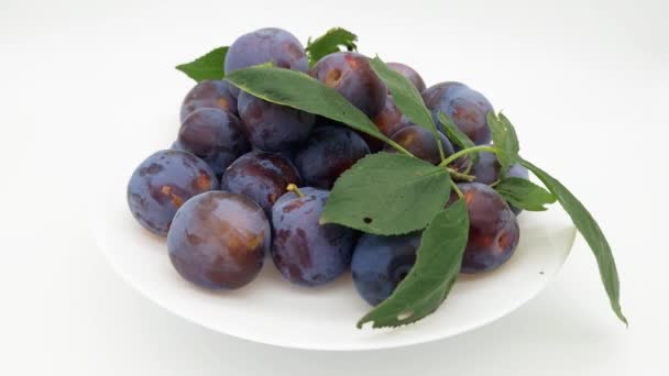Ripe Plums Leaves Dish White Background — Stock Video