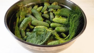 Mutfak kasesinde yeşil salatalıkları olan taze hasat edilmiş salatalıklar.