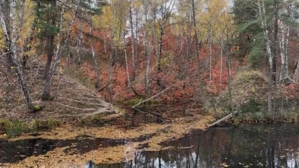 Μικρή Λίμνη Δάσος Λοφώδες Όχθες Στο Συννεφιασμένο Πρωινό Του Φθινοπώρου — Αρχείο Βίντεο