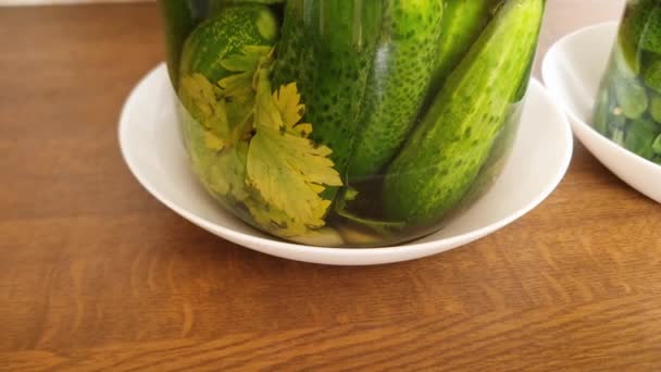在厨房桌子上的罐子里自然发酵腌制黄瓜 — 图库视频影像