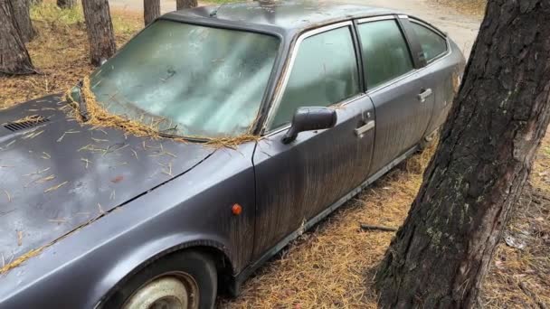 森に不法に捨てられた古い車 — ストック動画