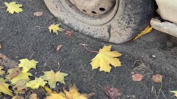 Wheel Flat Tire Rusty Body Abandoned Car — Stock Video