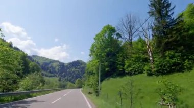 Yüksek ağaçlı dağ yolu sağ ve orman dağları solda.