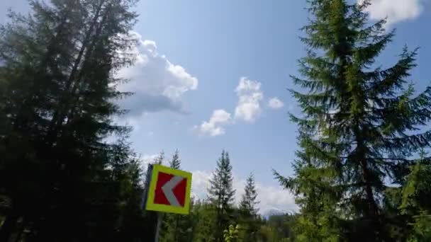 Verwinkelte Bergstraße Mit Hohen Bäumen Auf Beiden Seiten — Stockvideo