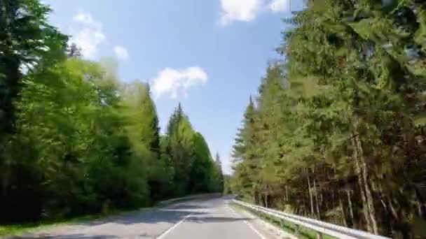 Carretera Montaña Retorcida Con Árboles Altos Ambos Lados — Vídeo de stock