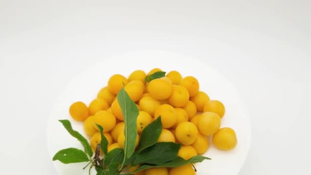 Gelbe Kirschpflaumen Mit Kleinem Zweig Pflaumenbaum Auf Teller — Stockvideo
