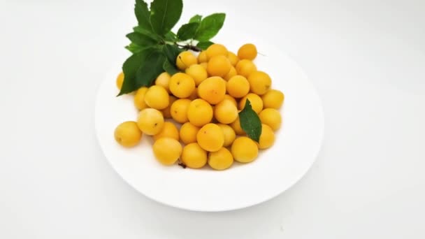 Ameixas Cereja Amarelas Com Pequena Árvore Ameixa Galho Prato — Vídeo de Stock