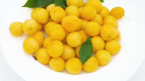 Ameixas Cereja Amarelas Com Pequena Árvore Ameixa Galho Prato — Vídeo de Stock