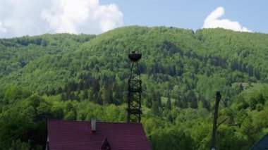 Leylekler güç hattı kulesinin tepesinde yuva yaptılar.