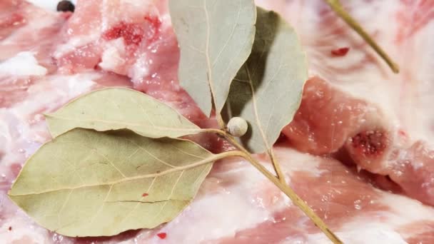Сырые Свиные Ребрышки Сушеными Специями Белом Блюде — стоковое видео