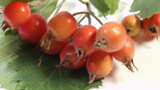 Galhos Espinheiro Com Frutas Superfície Madeira Vista Superior — Vídeo de Stock