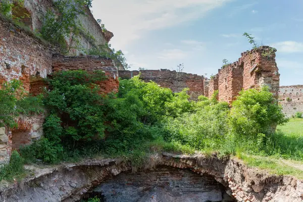 Ruins of the brick defense tower and wall of the mediaeval castle overgrown with different shrubs in Stare Selo village, Ukraine. Panoramic view from the inner courtyard side
