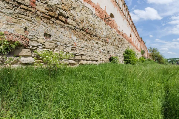 Ruins of the brick and stone defense wall of the mediaeval castle overgrown with different shrubs in Stare Selo village, Ukraine. View from the outside