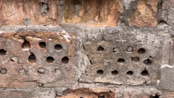 Stare Częściowo Zniszczone Ceglane Ściany Podczas Opadów Śniegu — Wideo stockowe