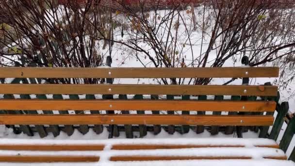 Zahradní Lavička Pokrytá Ledem Sněhem Proti Keřům — Stock video