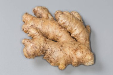 Gri arka planda yıkanmış taze zencefil kökü, üst manzara.