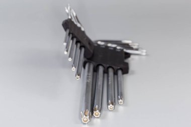 Değişik boyutlarda L-tuşları, 6 noktalı yıldız şekilli ucu ve delikleri olan, aynı zamanda heksalobular iç alonalar olarak da bilinen gri bir yüzeyde resmi isim, seçici odak noktasında yakın plan