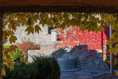 Farklı çalılıklarla döşenmiş ve tırmanma bitkileriyle kaplı taş istinat duvarı, sarmaşık yapraklarıyla sarmaşık sarmaşığı ile sarmaşık geçitinin altından manzara