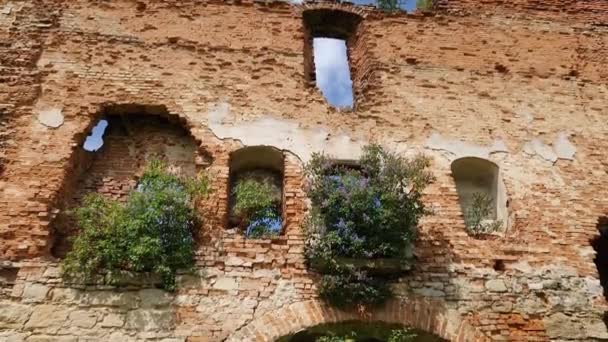 Pozostałości Muru Obronnego Średniowiecznego Zamku Porośniętego Krzewami — Wideo stockowe