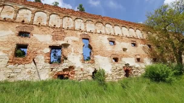 Muro Defesa Restos Castelo Medieval Coberto Arbustos — Vídeo de Stock