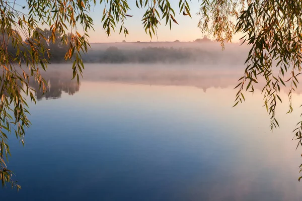 Pond with calm water, rising fog above the water and hanging willow branches on a foreground in autumn at sunrise