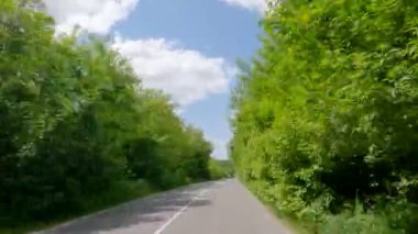 Her iki tarafında orman olan asfalt yol.