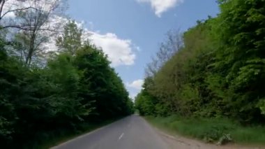 Her iki tarafında orman olan asfalt yol.