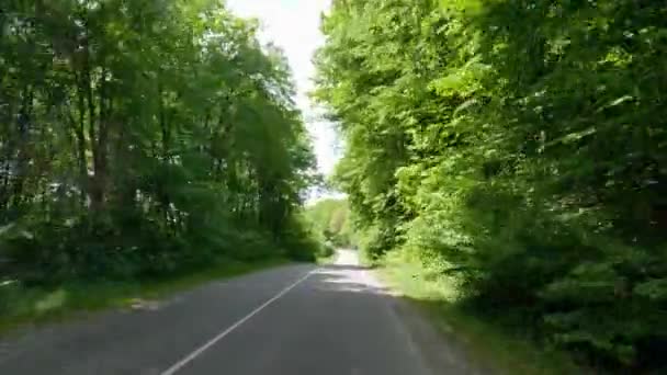 Local Asphalt Road Forest Both Sides — Stock Video