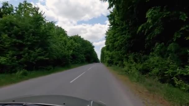 Route Asphaltée Locale Avec Forêt Des Deux Côtés — Video