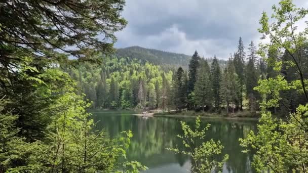 Lago Montagna Con Foresta Sulle Rive Primavera — Video Stock
