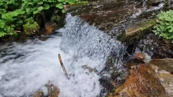 Small Waterfall Mountain Stream Flowing Wooden Chute — Stock Video