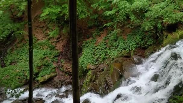 Haya Alta Bosque Orillas Del Río Montaña Con Cascada — Vídeo de stock