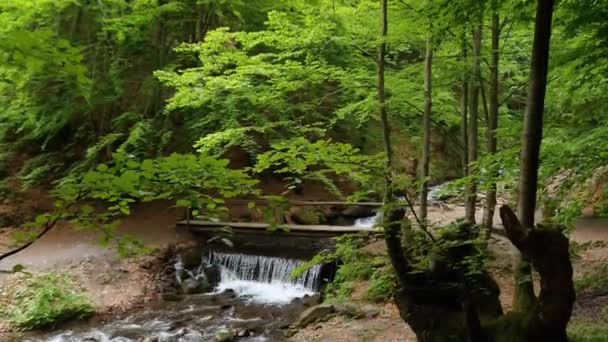 Bergbeekje Met Voetgangersbrug Boven Kleine Waterval Beukenbos — Stockvideo