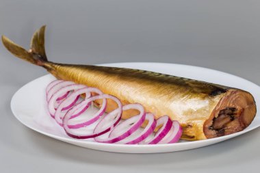 Kafası olmayan soğuk füme Atlantik uskumrusu ve gri arka planda halka şeklinde taze kırmızı soğan, seçici bir odak noktasında yan görünüş.