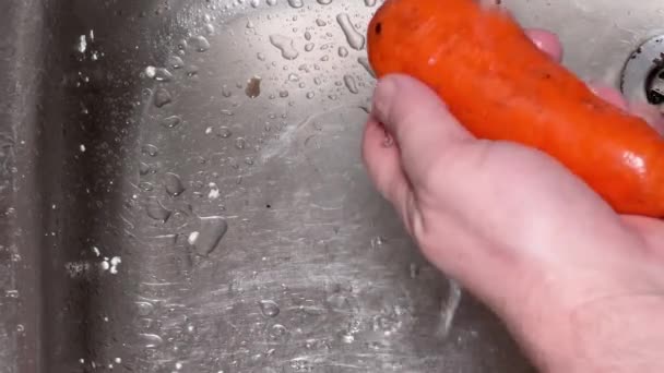 Mutfak Lavabosunda Fırçayla Yıkanırken Taze Havuç — Stok video