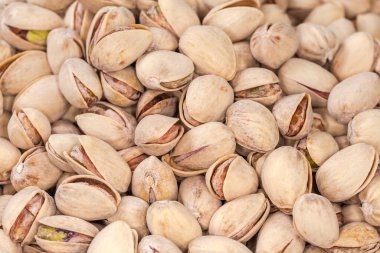 Kısmen açık kabuklu kavrulmuş şam fıstığının arka planı, seçici odak noktasında üst görüntü.