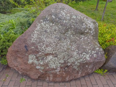 Bahar yağmurlu günlerinde doğal süsleme olarak patikanın yanındaki parka koyulmuş kırmızı granit kayası.