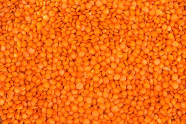 Surface of heap of raw whole red lentil, top view close-up, background clipart