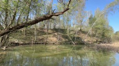 Güneşli bahar sabahında tepecikli küçük orman gölü.