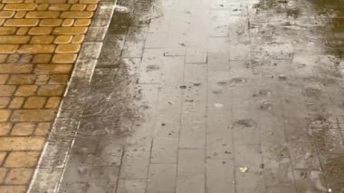 Şiddetli yağmur sırasında kaldırım levhalarıyla döşenmiş ıslak patika.