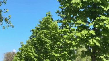 Norveç geçidi açık gökyüzüne karşı park halinde.