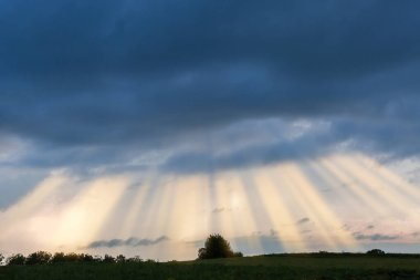 Gökyüzünün bir kısmı yoğun kara fırtına bulutları ve güneş ışınlarıyla yazın günbatımında tarlanın üzerindeki bir bulutun arkasından geliyor.