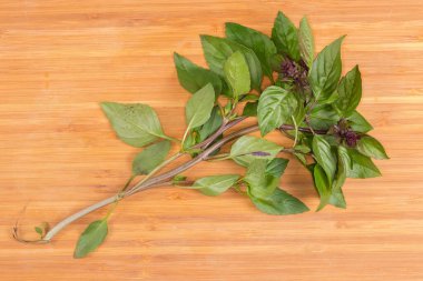 Taze yeşil fesleğenin kökü ve ahşap bambu kesme tahtasının üzerinde kabartmalar.