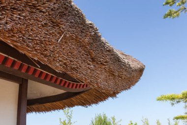 Gökyüzüne karşı küçük bir binanın köşesindeki tahıldan yapılmış sazdan yapılmış eski çatının bir parçası.