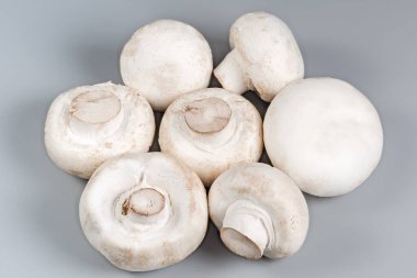 Gri bir yüzeye yakın planda bir sürü taze çiğ mantar.