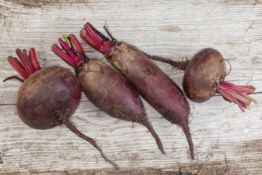 Taze hasat edilmiş genç kırmızı pancar kökleri yuvarlak ve dikdörtgen şekilli, kökleri ve gövdesinin bir kısmı eski çatlamış ahşap, üst görünüm