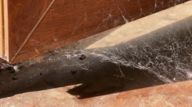 Örümcek ağı ve tozla kaplı eski ahşap bir cam parçası.